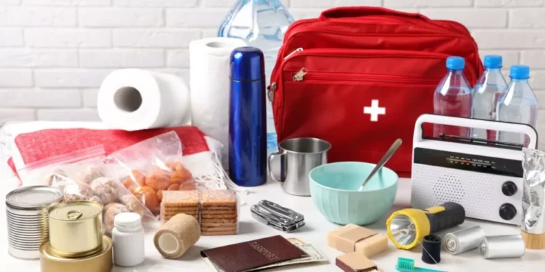 What Are the Must-Have Items for Your Road Trip Emergency Kit?